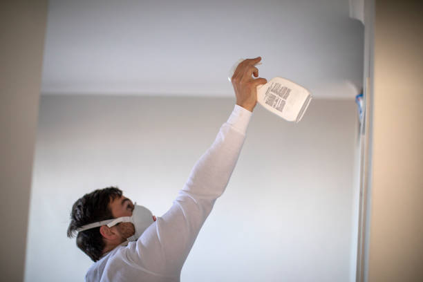 Best Black Mold Removal  in Trevose, PA