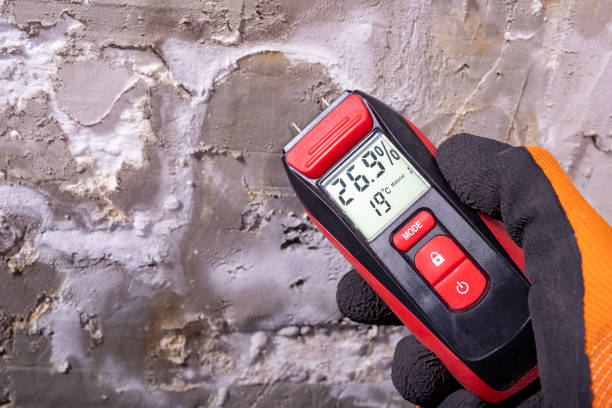 Best Water Damage Restoration  in Trevose, PA