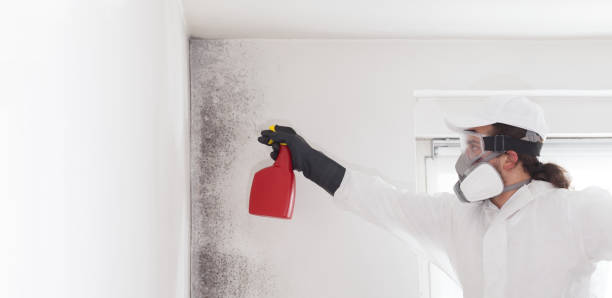 Best Toxic Mold Removal  in Trevose, PA